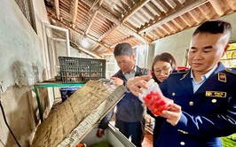 Xã Nội Bài không nương tay với vi phạm an toàn thực phẩm