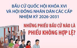 Bầu cử Quốc hội và HĐND: Những phiếu bầu cử nào là phiếu không hợp lệ?