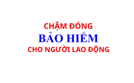 Phường Thanh Xuân: DANH SÁCH ĐƠN VỊ SỬ DỤNG LAO ĐỘNG CHẬM ĐÓNG BHXH, BHYT, BHTN, BHTNLĐ-BNN TỪ 02 THÁNG TRỞ LÊN