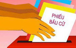 Việc kiểm đếm số phiếu bầu cho từng người ứng cử được thực hiện thế nào?