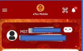 Hướng dẫn cập nhật thông tin đăng ký thuế trên Etax Mobile