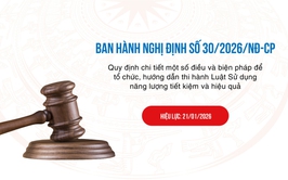 Chính phủ ban hành Nghị định 30/2026/NĐ-CP hướng dẫn Luật Sử dụng năng lượng tiết kiệm và hiệu quả
