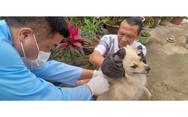 Chủ động kiểm soát dịch bệnh- Từ 2/3 Hòa Lạc tiêm phòng dại diện rộng cho đàn chó, mèo tại thôn 6 và thôn 8