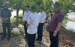 NGƯỜI NÔNG DÂN LÀM GIÀU TỪ MÔ HÌNH CÁ LĂNG: ANH NGUYỄN VĂN THỊNH - ĐIỂN HÌNH TIÊN TIẾN Ở DÂN HÒA.