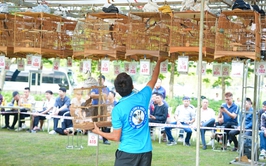 SÔI NỔI HỘI THI 