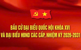 CÔNG BỐ: Danh sách chính thức những người trúng cử Đại biểu HĐND phường Yên Hòa khóa II, nhiệm kỳ 2026 - 2031