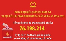 Thống kê số liệu bầu cử đại biểu Quốc hội khóa XVI và đại biểu HĐND các cấp nhiệm kỳ 2026-2031