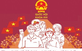 Kết quả bầu cử đại biểu Quốc hội khóa XVI