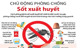 Gia Lâm triển khai 5 đợt cao điểm vệ sinh môi trường phòng, chống sốt xuất huyết năm 2026