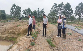 Hội Nông dân Thành phố Hà Nội thẩm định dự án vay vốn Quỹ Hỗ trợ nông dân tại xã Hoài Đức