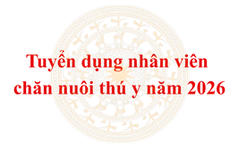 Phường Thanh Xuân ban hành Kế hoạch tuyển dụng nhân viên chăn nuôi thú y năm 2026