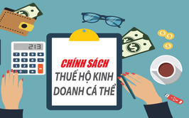 Hướng dẫn Hộ kinh doanh nắm vững chính sách - thực hiện đúng quy định Thuế