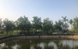 Hội Cựu chiến binh xã Thượng Phúc đang ghi nhận nhiều kết quả tích cực trong việc khai thác và sử dụng hiệu quả nguồn vốn vay từ Ngân hàng Chính sách Xã hội