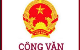 Công văn về việc Tích hợp tài khoản hưởng an sinh xã hội trên ứng dụng VNeID