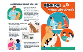 Bệnh Dại và các biện pháp phòng, chống dịch bệnh