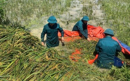 Lịch sử hình thành và phát triển của Dân quân tự vệ