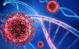 Bộ Y tế theo dõi sát biến thể SARS-CoV-2 BA.3.2, sẵn sàng ứng phó