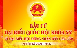 Pháp luật về quyền và nghĩa vụ của công dân trong bầu cử.