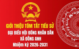 TIỂU SỬ NHỮNG NGƯỜI ỨNG CỬ HỘI ĐỒNG NHÂN DÂN XÃ ĐÔNG ANH KHÓA II, NHIỆM KỲ 2026-2031 TẠI ĐƠN VỊ BẦU CỬ SỐ 6