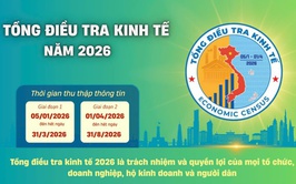 Tổng điều tra kinh tế năm 2026