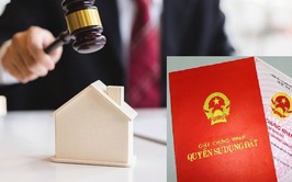 Kế hoạch đấu giá quyền sử dụng đất trên địa bàn phường Phúc Lợi năm 2026