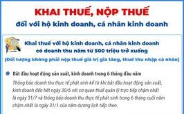Khai thuế, nộp thuế giá trị gia tăng, thuế thu nhập cá nhân đối với hộ kinh doanh, cá nhân kinh doanh