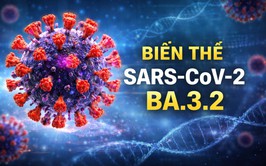 Cảnh giác với biến thể COVID-19 mới BA.3.2 (“Ve sầu”): Không hoang mang nhưng cần chủ động phòng bệnh