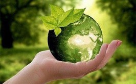 Phát động cuộc thi “Tổ dân phố Sáng - Xanh - Sạch - Đẹp” phường Thanh Xuân năm 2026