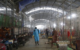 Xã Chương Dương quan tâm công tác chăn nuôi, thú y và thủy sản, chủ động phòng chống dịch bệnh