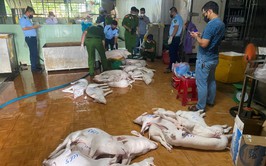 Kết luận của Phó Chủ tịch UBND xã - Đỗ Xuân Tình tại hội nghị kiểm điểm kết quả thực hiện kế hoạch về quản lý, giết mổ, vận chuyển, kinh doanh động vật và sản phẩm động vật, đảm bảo an toàn thực phẩm