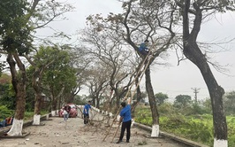 Kiểm tra rà soát hệ thống cây xanh, cắt tỉa, phòng chống gãy đổ để đảm bảo an toàn cho người và tài sản trước mùa mưa bão năm 2026