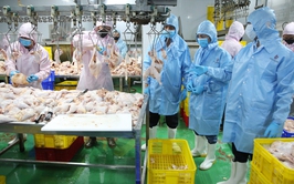 Tuyên truyền quản lý giết mổ vận chuyển và kinh doanh động vật, sản phẩm động vật