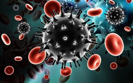 PHÒNG TRÁNH, KIỂM SOÁT VÀ SỐNG KHỎE CÙNG HIV