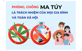 Tăng cường giám sát, đánh giá chương trình phòng, chống ma túy: Bảo đảm thực chất, rõ trách nhiệm 