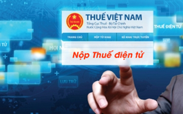 Thông báo về việc nộp hồ sơ kê khai thuế năm 2026 đối với hộ kinh doanh, cá nhân kinh doanh
