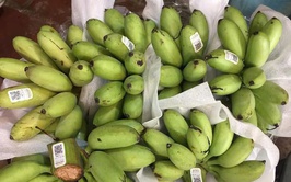 HƯỚNG DẪN QUY ĐỊNH VỀ MÃ SỐ VÙNG TRỒNG, MÃ SỐ CƠ SỞ ĐÓNG GÓI THEO NGHỊ ĐỊNH 38/2026/NĐ-CP