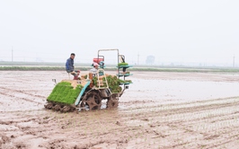 Kỷ niệm Ngày Hợp tác xã Việt Nam 11/4: Kinh tế tập thể ở Quảng Bị khẳng định vai trò động lực phát triển địa phương