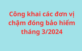 Công khai các đơn vị chậm đóng BHXH, BHYT, BHTN trên địa bàn phường Tây Hồ (tháng 03/2026)