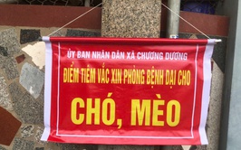 Xã Chương Dương - Triển khai tiêm phòng miễn phí vắc xin bệnh Dại đợt I năm 2026