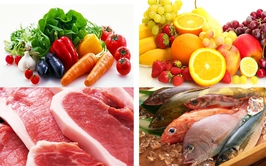 Hướng dẫn lựa chọn và sử dụng thực phẩm an toàn