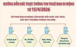 Hướng dẫn chi tiết các bước tự xác thực SIM chính chủ trên VNeID từ ngày 15/4