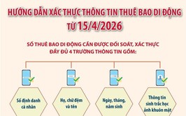 Hướng dẫn xác thực thông tin thuê bao di động từ 15/4/2026