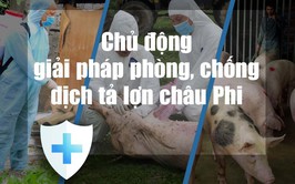 Xã Chương Dương tăng cường các biện pháp phòng, 
chống bệnh dịch tả lợn châu Phi