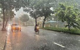 Phường Hà Đông chủ động ứng phó với dông, lốc, mưa đá và các loại hình thiên tai trong thời kỳ chuyển mùa thiên tai chuyển mùa