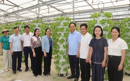 Hội Nông dân thành phố Hà Nội làm việc với Hội Nông dân xã Phú Xuyên