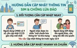 Hướng dẫn người dân phường Thanh Xuân chuẩn hóa thông tin thuê bao và phòng chống lừa đảo