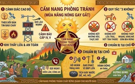 Chủ động phòng cháy, chữa cháy rừng trong điều kiện thời tiết nắng nóng gay gắt