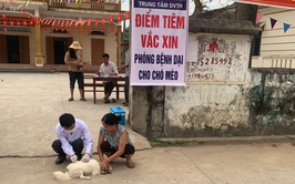 TRUNG TÂM DỊCH VỤ TỔNG HỢP XÃ PHÚC SƠN TRIỂN KHAI TIÊM PHÒNG VẮC XIN DẠI CHO ĐÀN CHÓ, MÈO ĐỢT I NĂM 2026