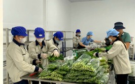 Hà Nội siết quản lý an toàn thực phẩm bằng công nghệ số