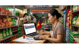 Thuế cơ sở 15 TP Hà Nội hướng dẫn kê khai thuế quý I/2026